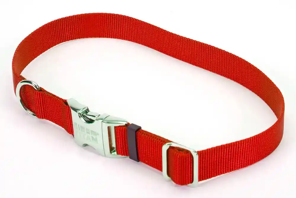 Adjustable Dog Collar With Metal Buckle, Red, 1" X 18" - 26"