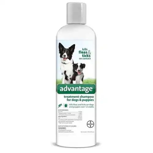 Advantage F/t Shampoo Dogs & Puppies 8 Oz