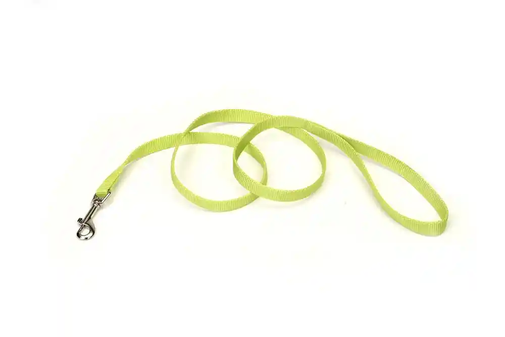 Single-ply Dog Leash, Lime, 1" X 06'