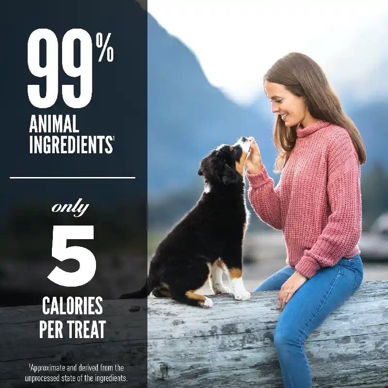 Or Dog Trt-angus Beef 3.25 Oz