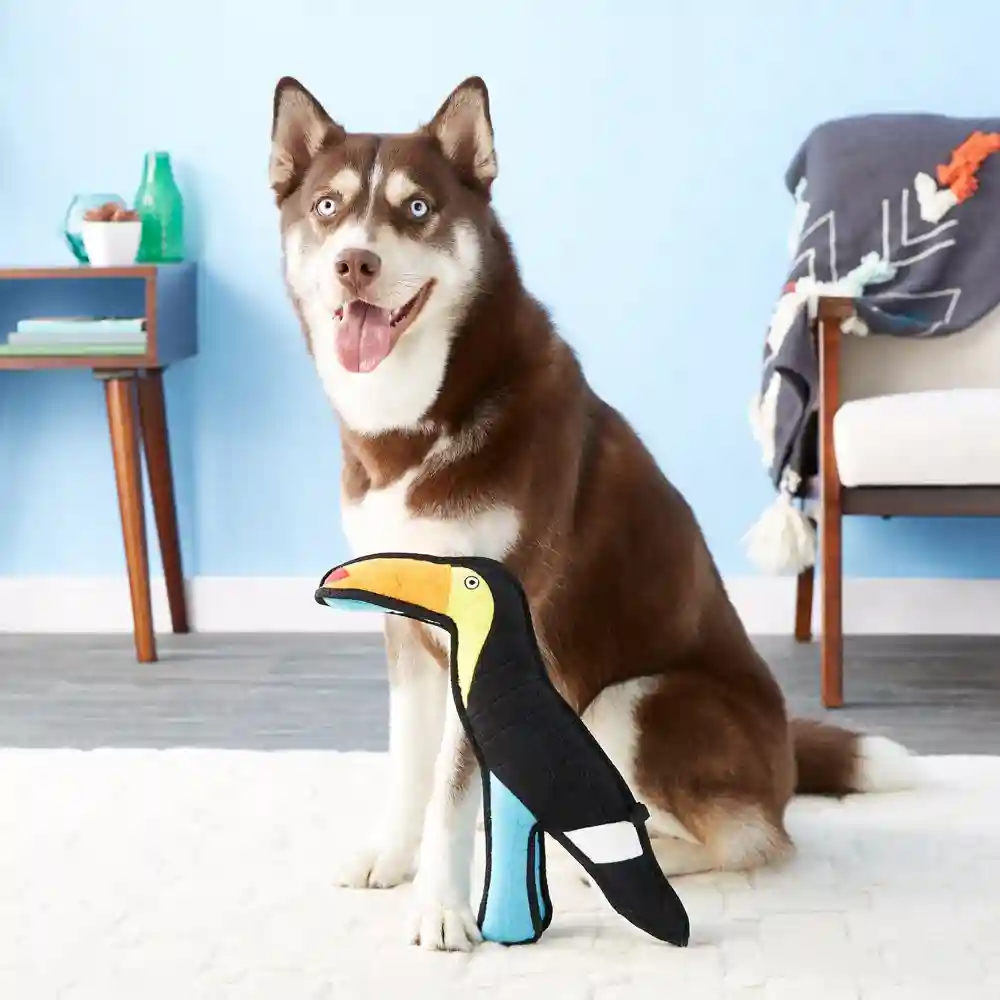Zoo Togo Toucan Dog Toy L