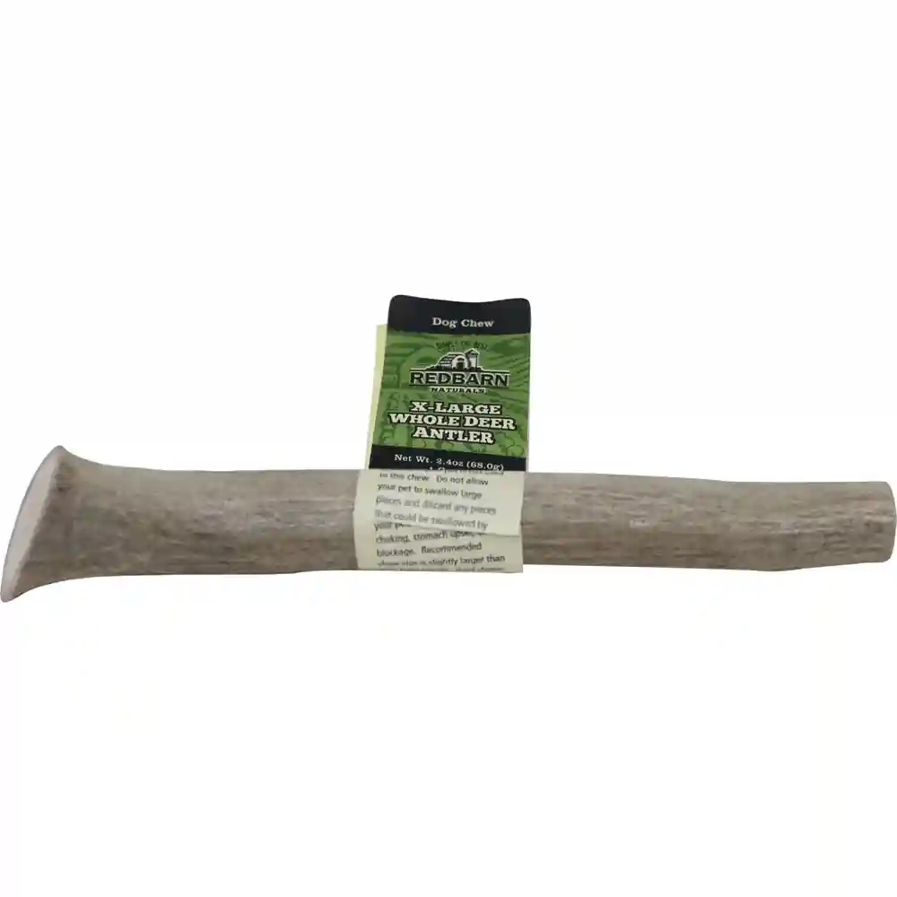 Redbarn Antler Deer Whole Xl /