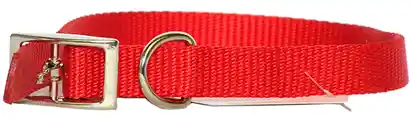 Single-ply Dog Collar, Red, 5/8" X 14"