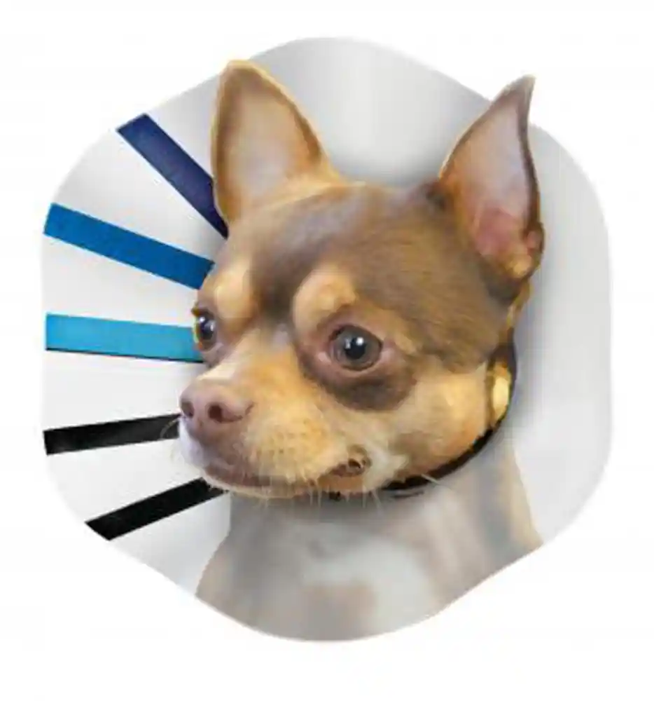 E-collar Smallall-assorted Colors E3