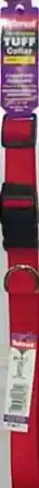 Adjustable Dog Collar With Plastic Buckle, Red, 1" X 18" - 26"
