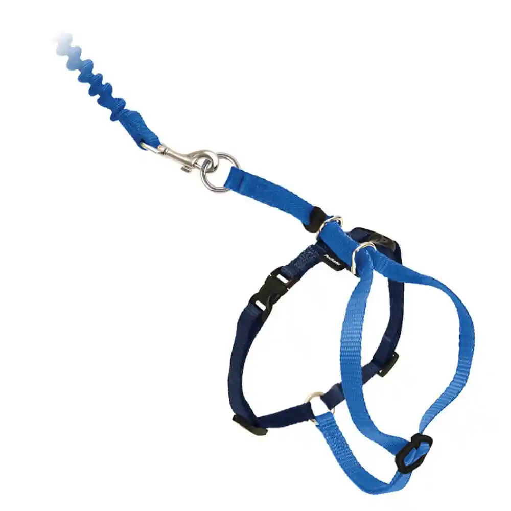 Harness & Bungee Leash Large Royal Blue