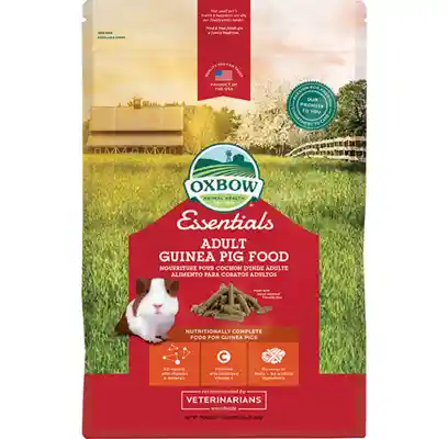 Essentials Adult Guinea Pig - 10lb