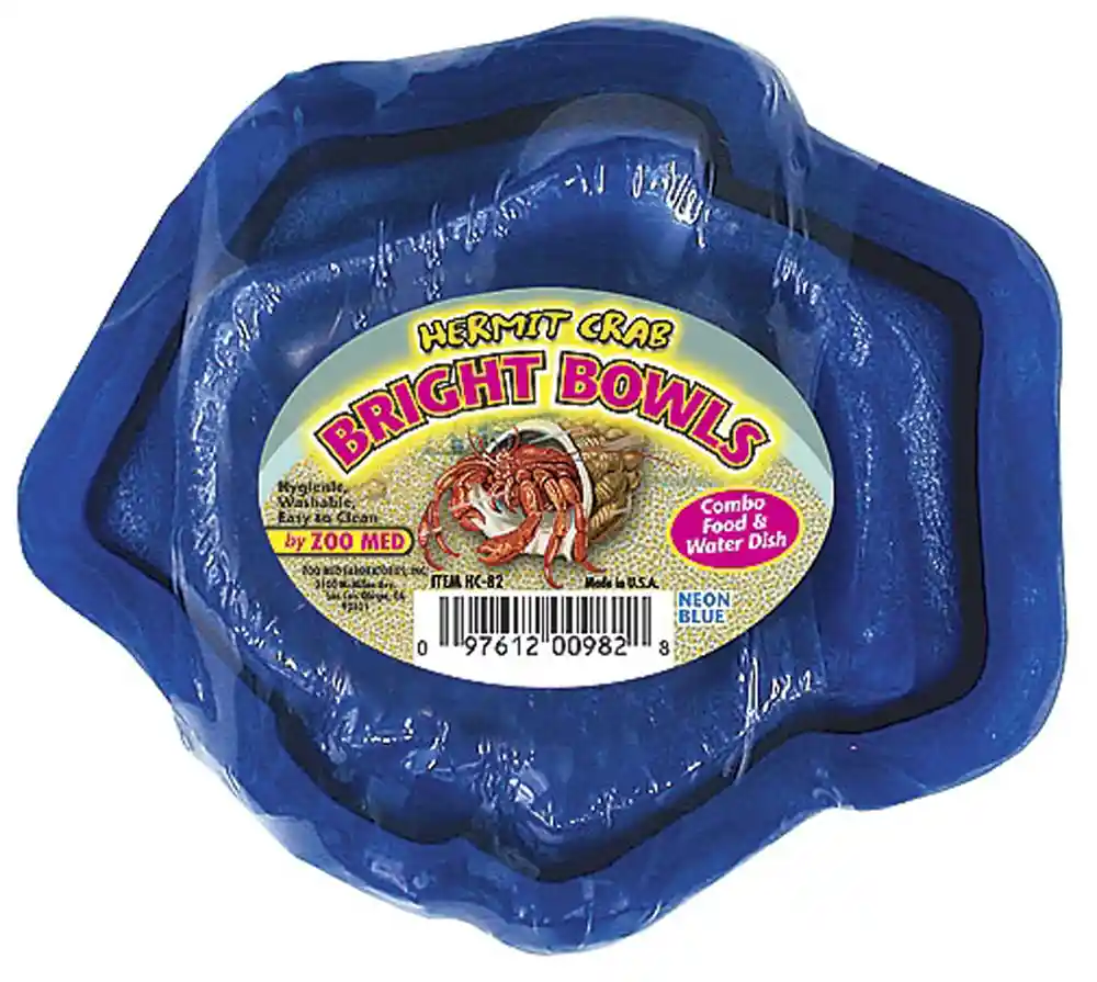 Hermit Crab Bright Bowls-neon Blue