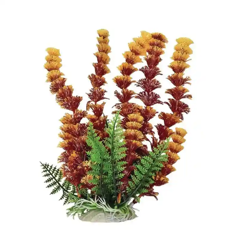 Plant Cabomba Fire 9"