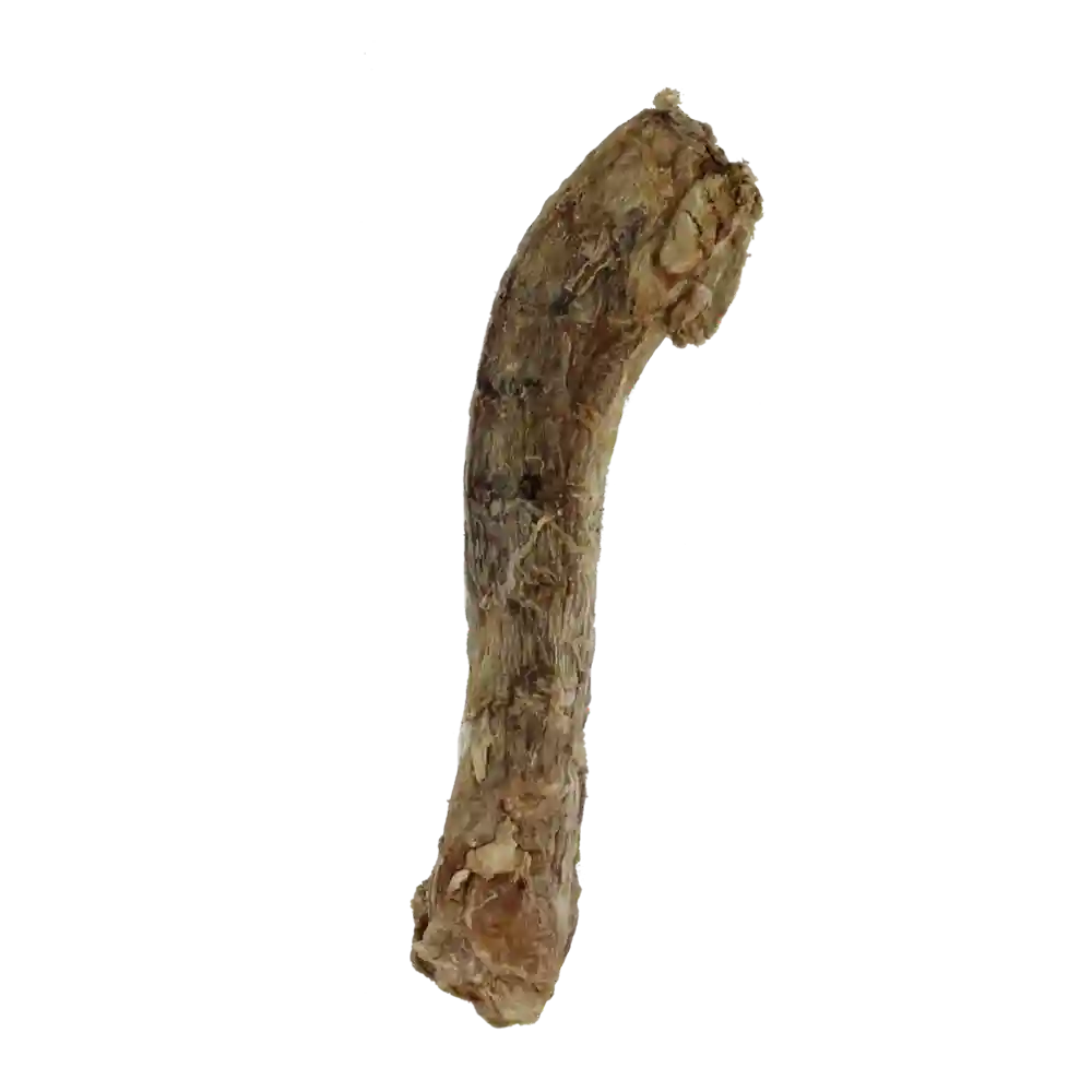 Raw Bar Freeze-dried Duck Neck Treat For Dogs 1 Duck Neck