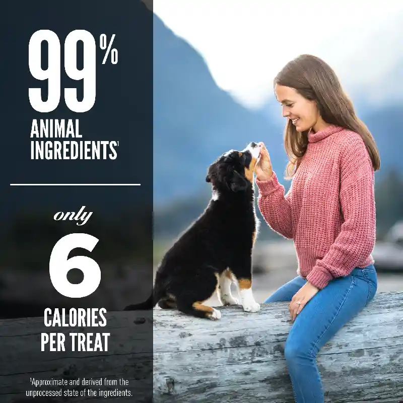 Freeze-dried Dog Treats, Grass-fed Lamb, Biologically Appropriate & Grain Free 3.25-oz