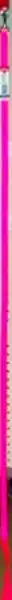 Single-ply Dog Leash, Neon Pink, 5/8" X 6'