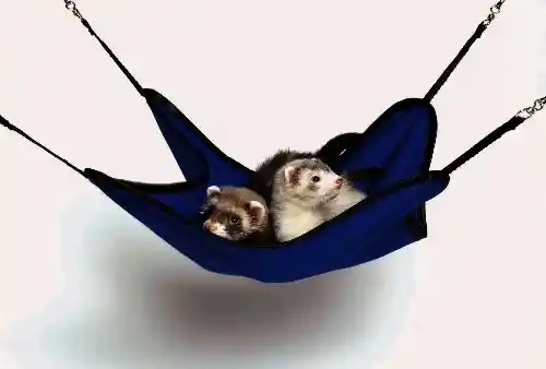 Superpet Ferret Hanging Hammoc