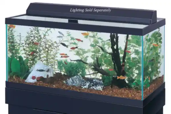 30 Gallon Black Trim Aquarium 36x12x16