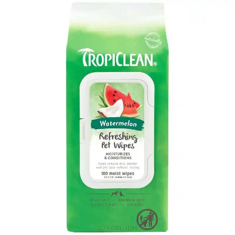 Watermelon 2 In 1 Wipes - 100 Ct