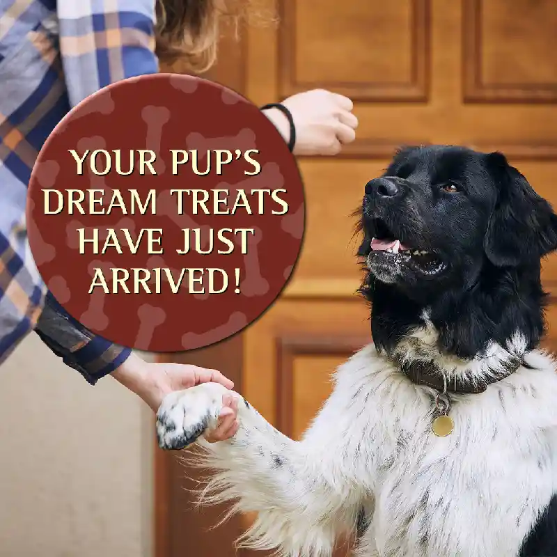 Zignature Dog Treat Soft Moist Venison 4 Oz Hearts