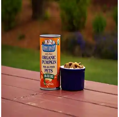 Nummy Tum Tum Organic Canned Pumpkin Dog 15 Oz