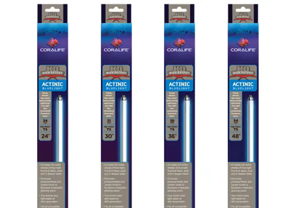 T5 High Output 31 Watt Actinic Lamp 30 Inch