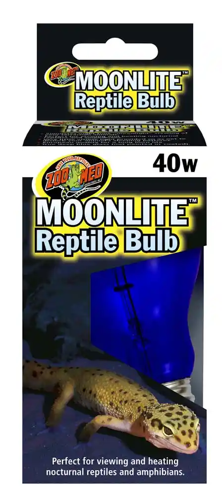 Zoomed Moonlight Bulb 40 Watt
