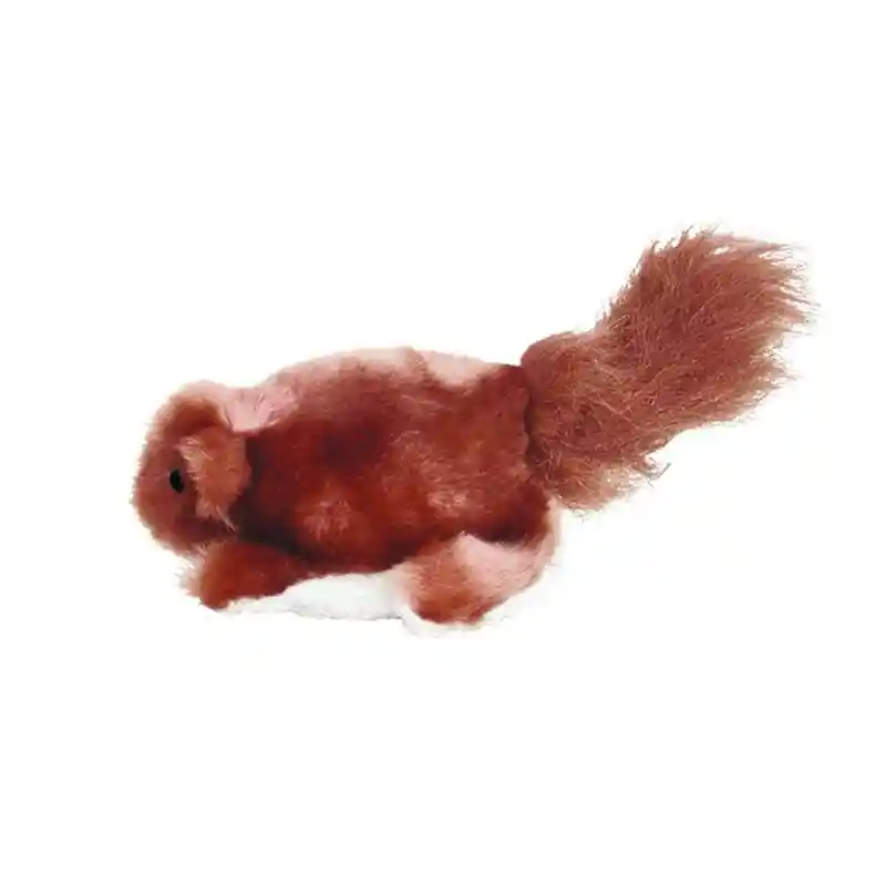 Dr. Noy's Beaver Small Dog Toy