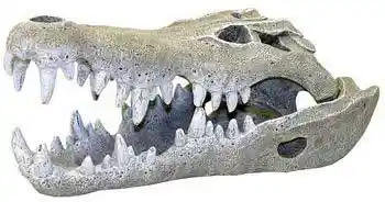 Ornament Nile Croc Skull Small