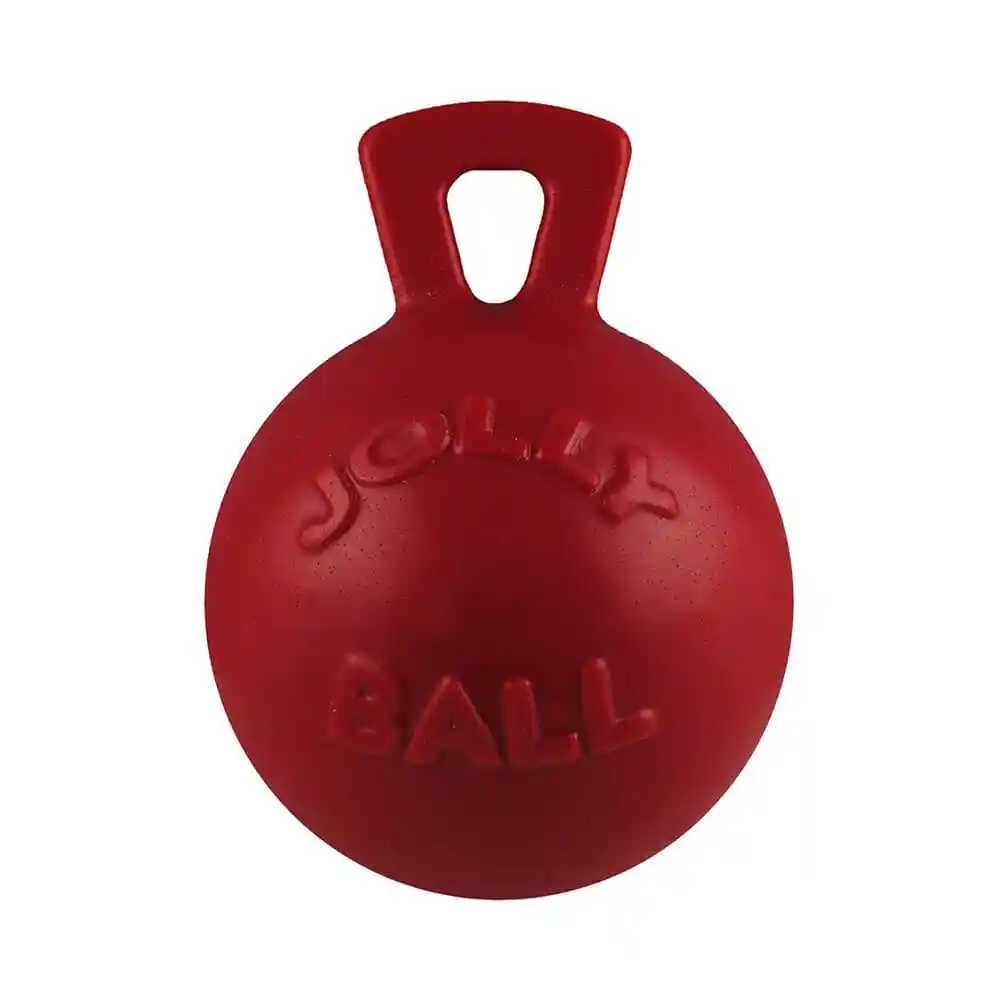 Tug N Toss Jolly Balls Assorted Colors 4.5"