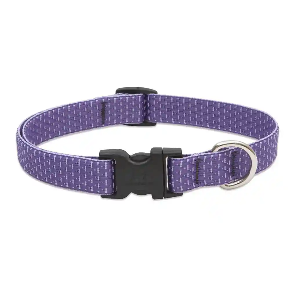Lupine 3/4" Lilac 9"-14" Adj. Collar