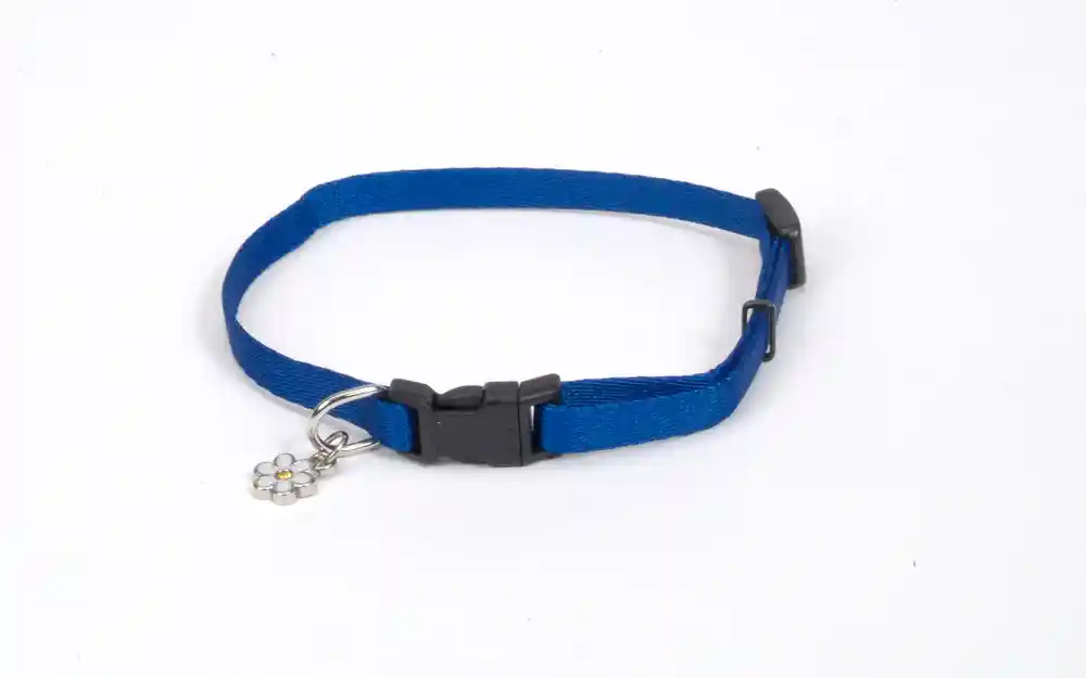 Adjustable Dog Collar, Blue, 3/8" X 06"-08"