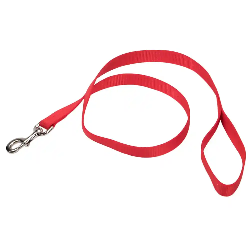Single-ply Dog Leash, Red, 1" X 06'