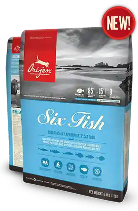 Dry Cat Food, Six Fish, Biologically Appropriate & Grain Free 12-oz