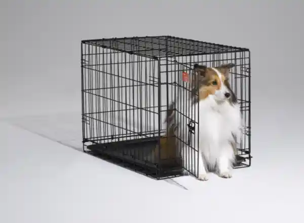 I-crate Single Door Folding Dog Crate 30"x19"x21"