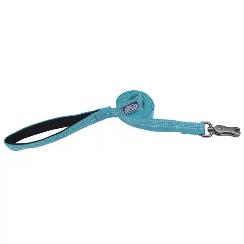 Brights Reflective Dog Leash, Ocean, 1" X 06'
