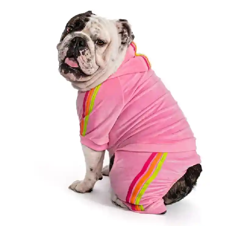 Fab Dog Velour Jogger Pink 12