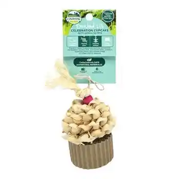 Celebration Cupcake