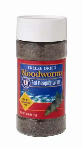 Sf Freeze Dried Bloodworms 0.25 Oz