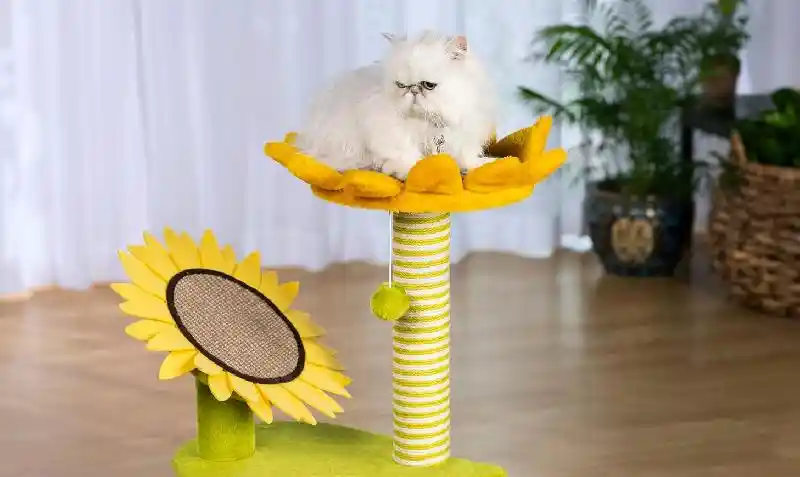 Kitty Power Paws Sunflower Playground - Furniture