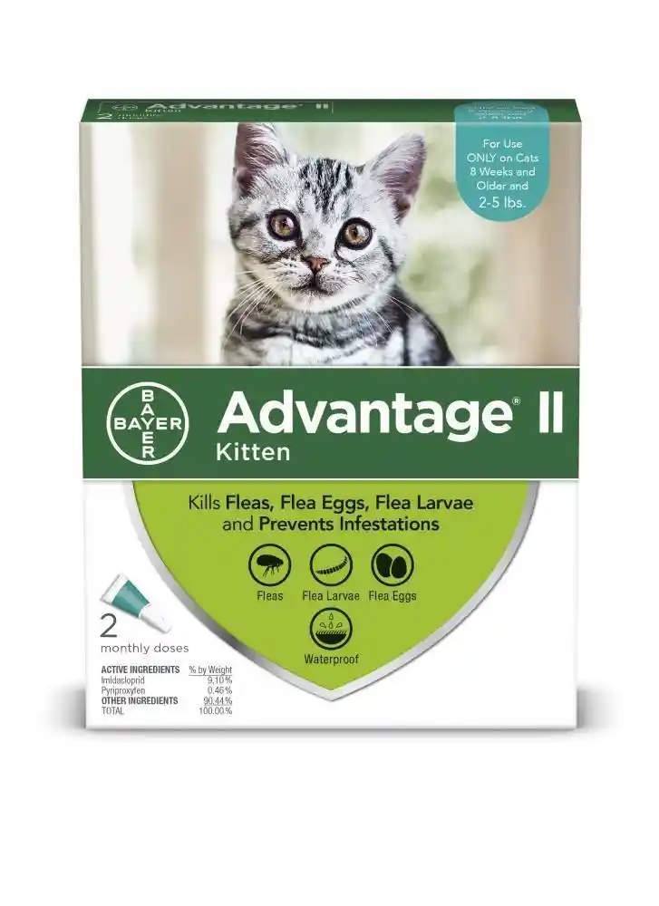 Kitten 4 Monthly Doses