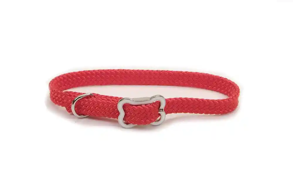 Dog Collar With Bone Buckle, Red, 3/8" X 12"