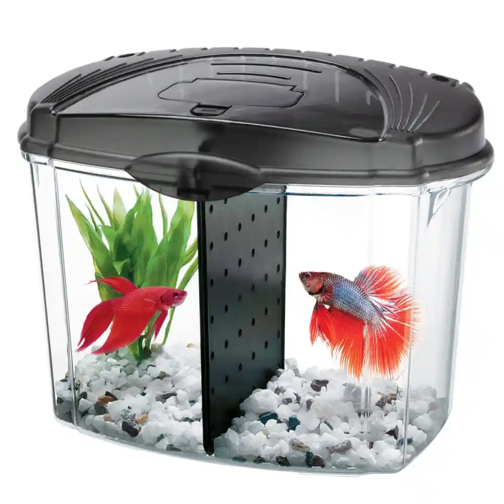 Aqe Kit Starter Betta Bowl Black