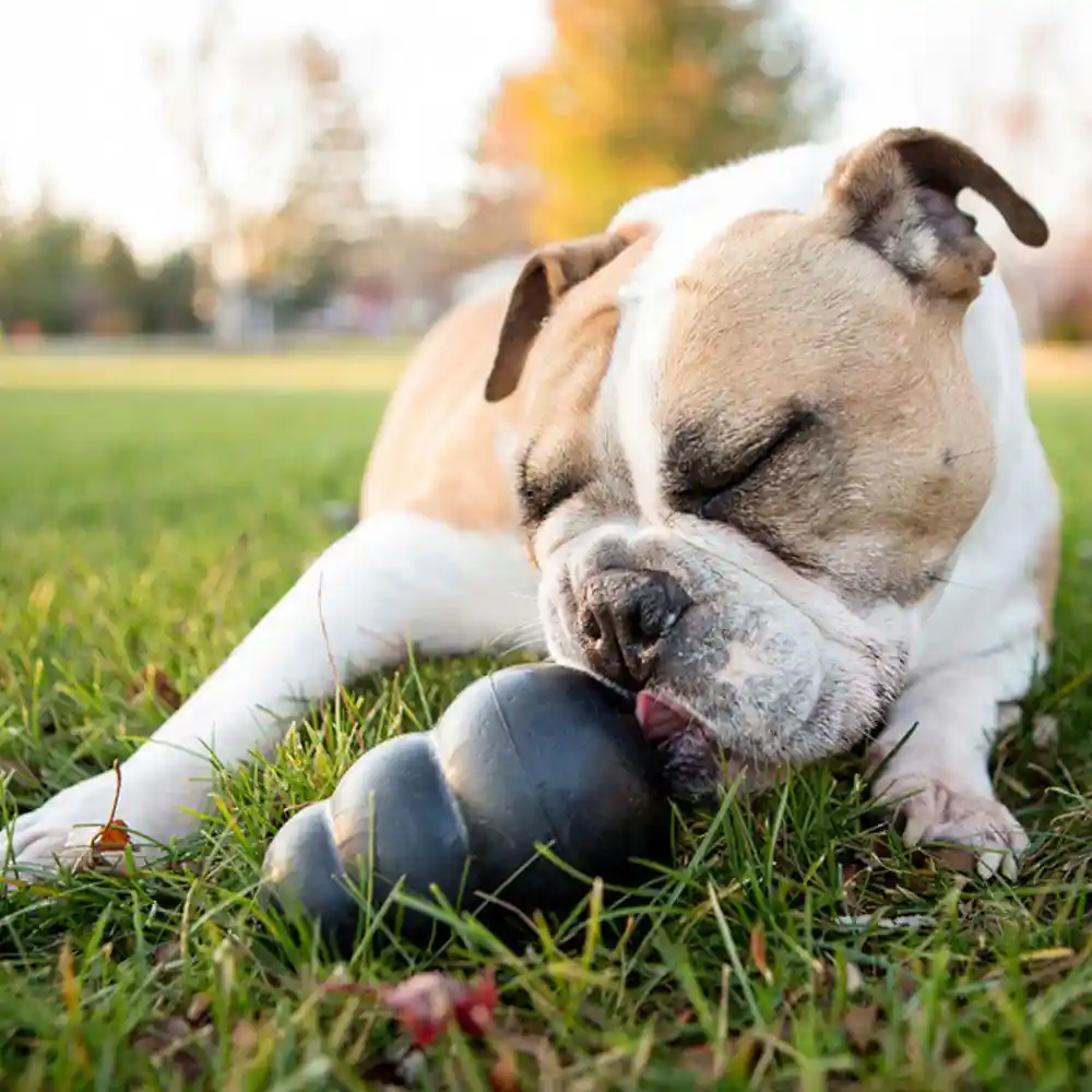 Classic Extreme Dog Toy Small