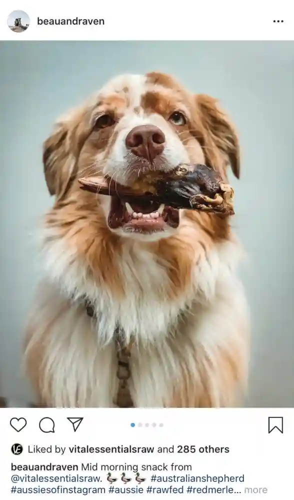 Ve Raw Bar Freeze-dried Raw Duck Heads Dog Snacks