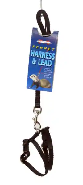 Ferret Harness & Lead-black