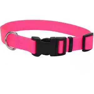 Adjustable Dog Collar With Plastic Buckle, Neon Pink, 1" X 18" - 26"
