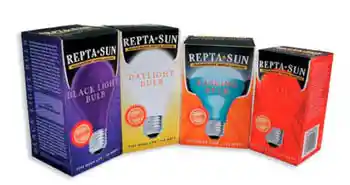 Neod Daylight Bulb 60 Watt