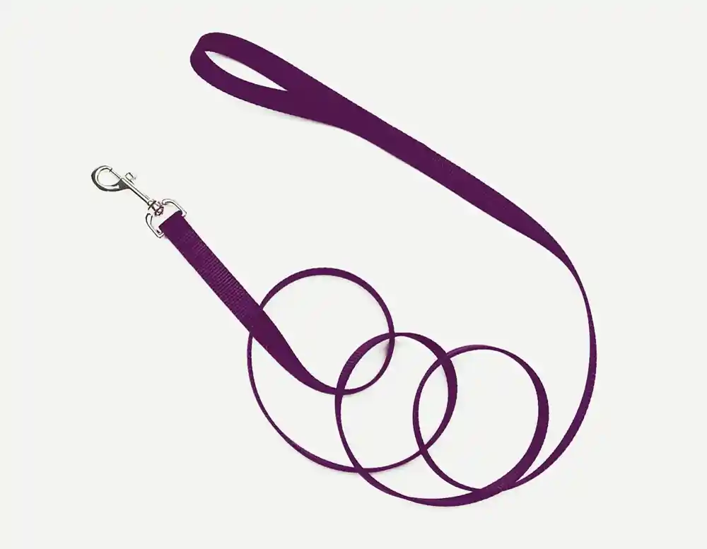 Single-ply Dog Leash, Purple, 1" X 06'