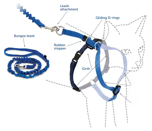 Harness & Bungee Leash Small Royal Blue Small