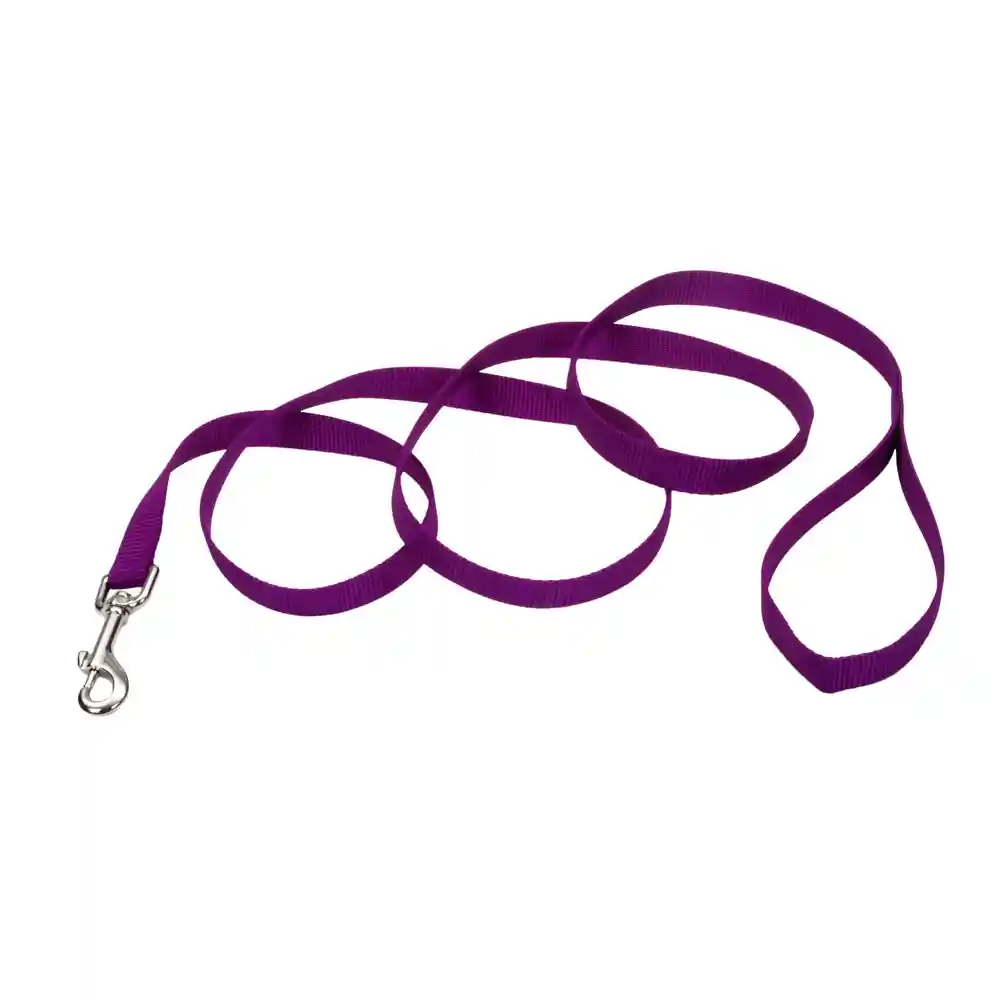 Single-ply Dog Leash, Purple, 1" X 06'