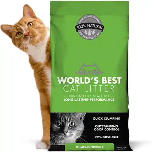 Clumping Formula Cat Litter 28-lb