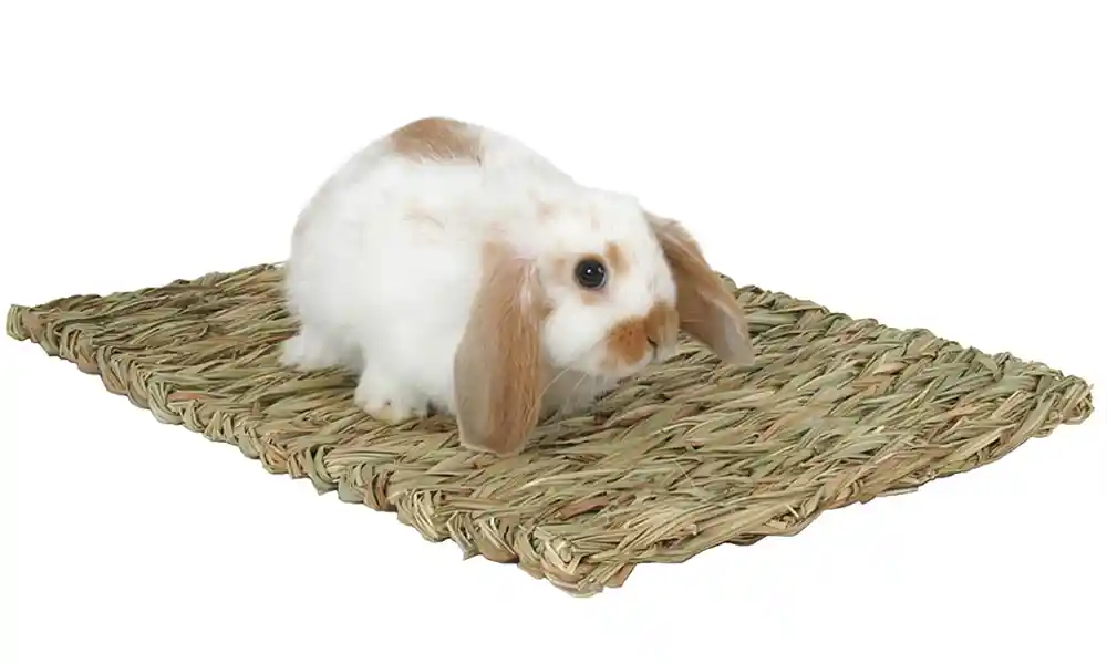 Marshall Peters Rabbit Woven Grass Mat