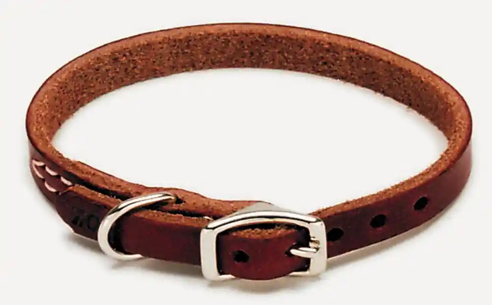 Latigo Leather Town Dog Collar, Latigo, 3/8" X 12"